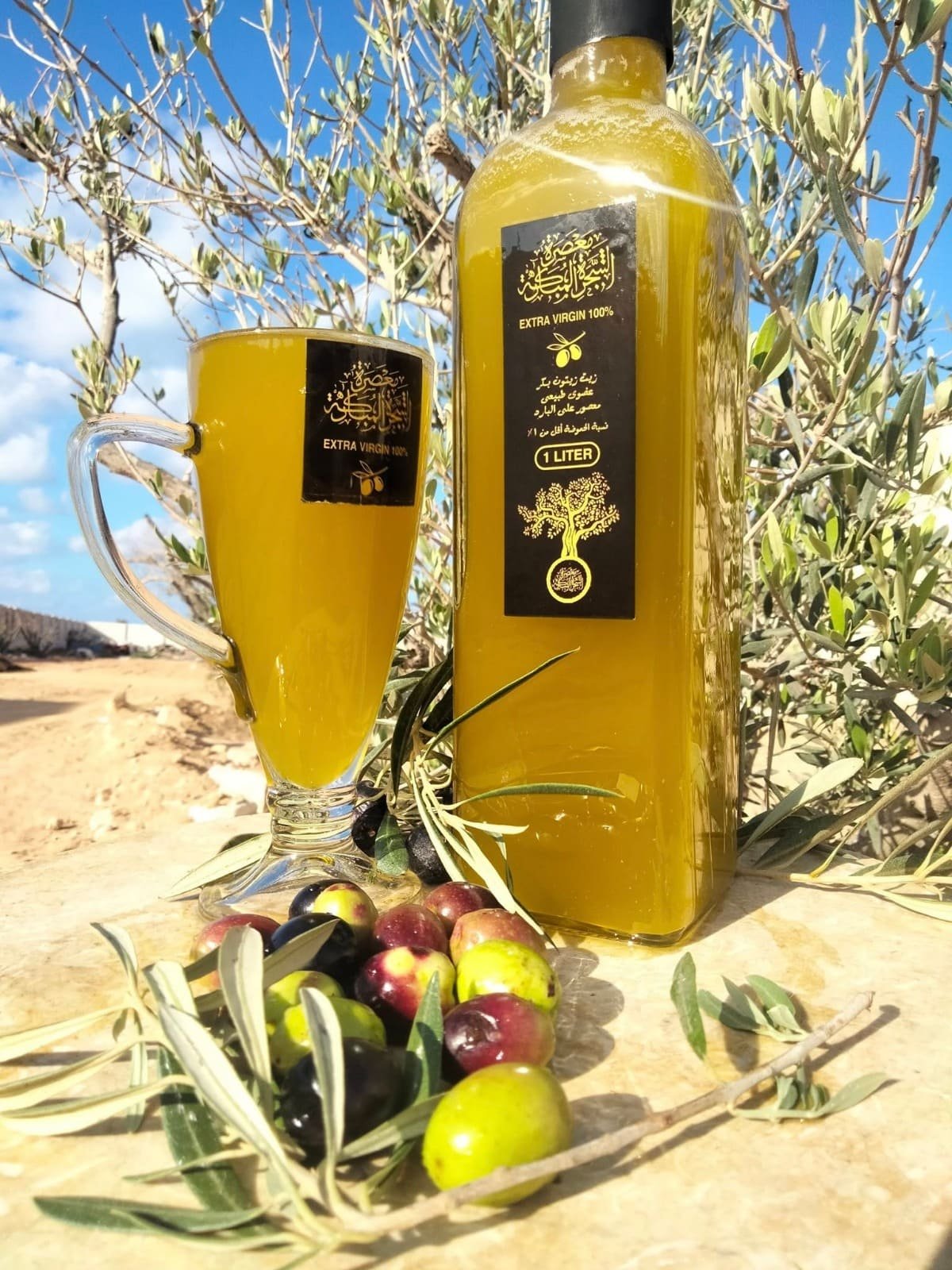 زيت الزيتون